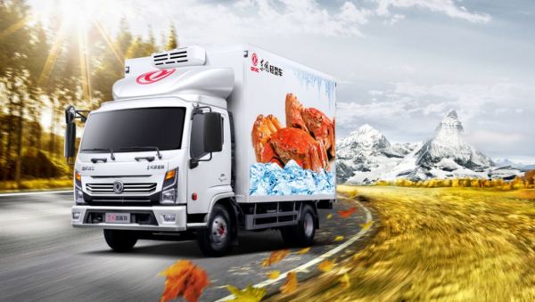 500臺東風(fēng)凱普特星云冷鏈車交付河南